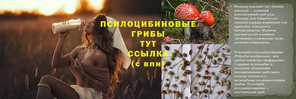 СК Арсеньев