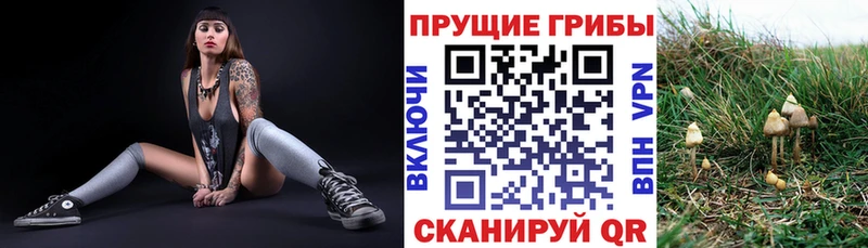 блэк спрут ССЫЛКА  Нея  Галлюциногенные грибы Psilocybine cubensis  купить  